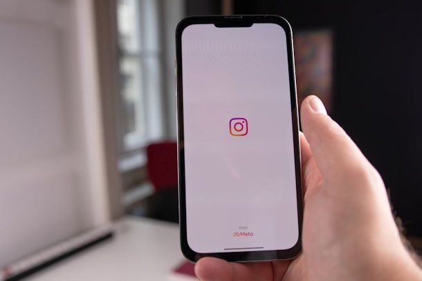sicurezza privacy visualizzatore storie Instagram anonimo